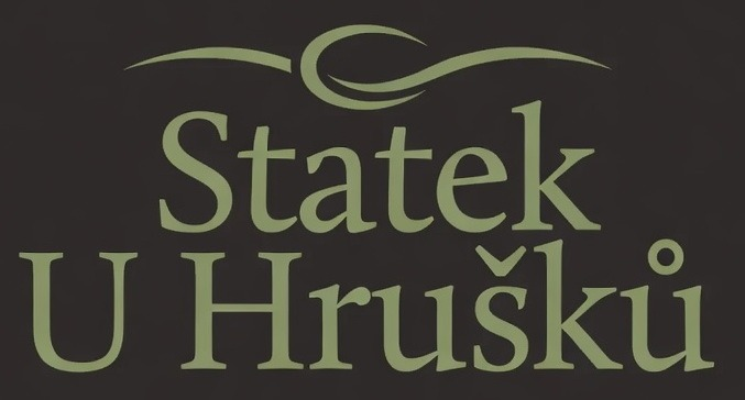 Statek logo